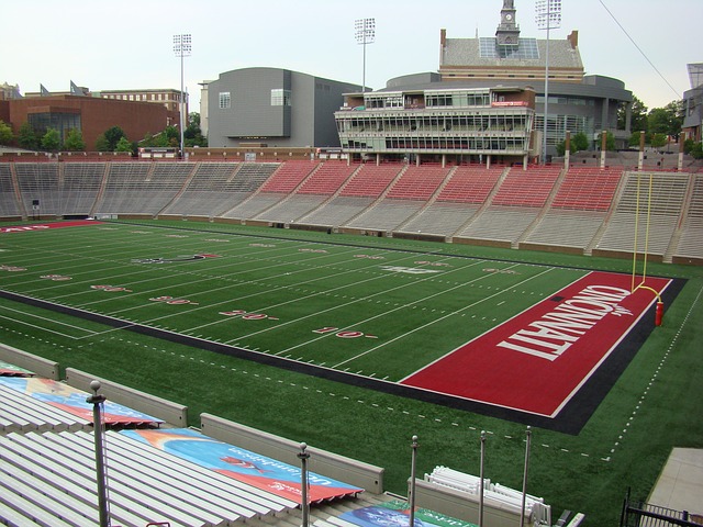 球目光